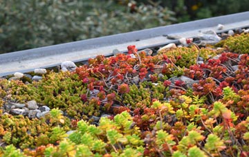 the cost of Huxley green roof installation